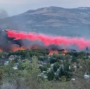 Meet your Posher, Larry